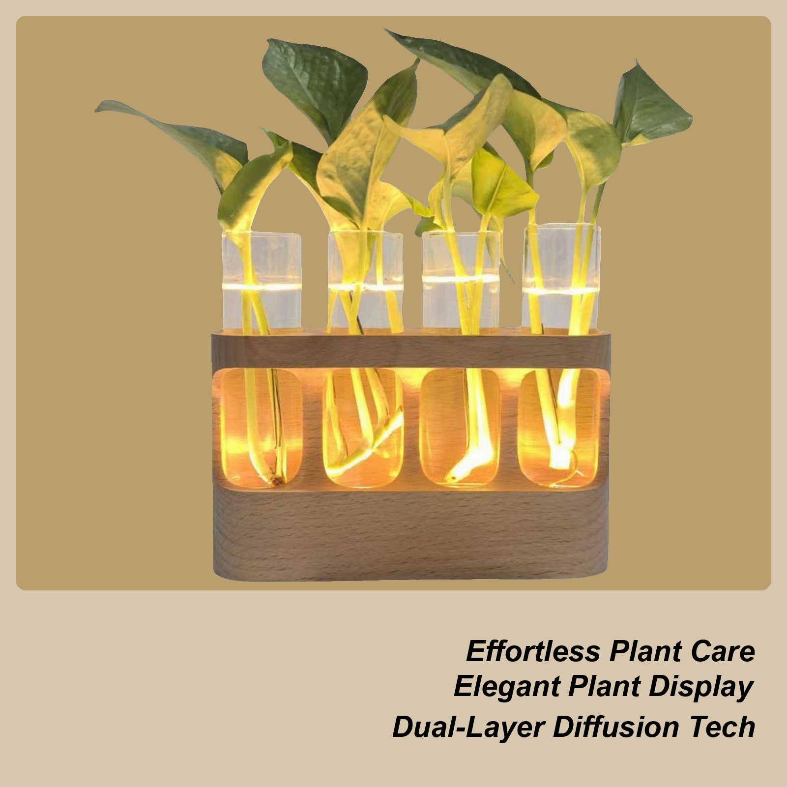 Home Office With Plants - LED Plant Propagation Station Hydroponic Glass
