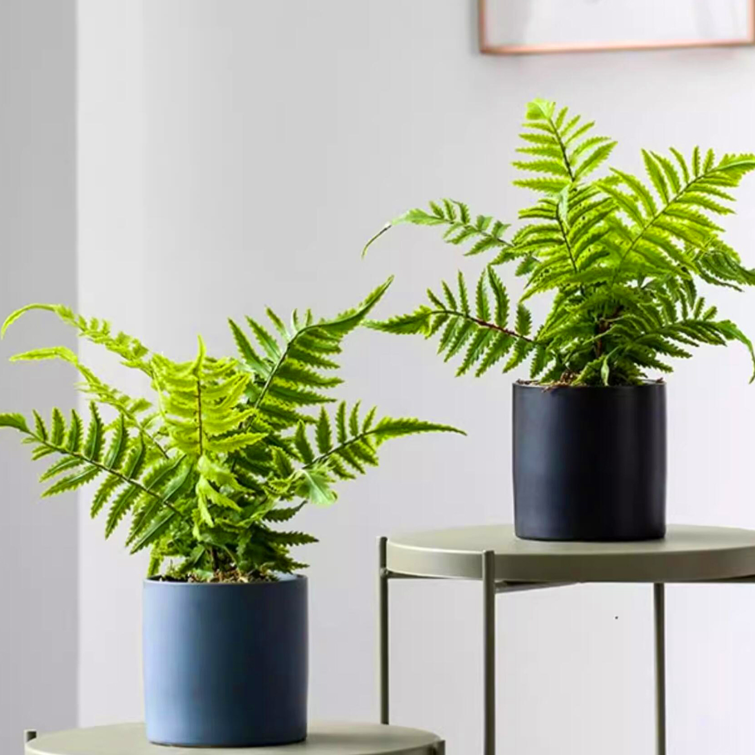 48cm（19in）Artificial fern leav - Home Office Word recensie en prijs