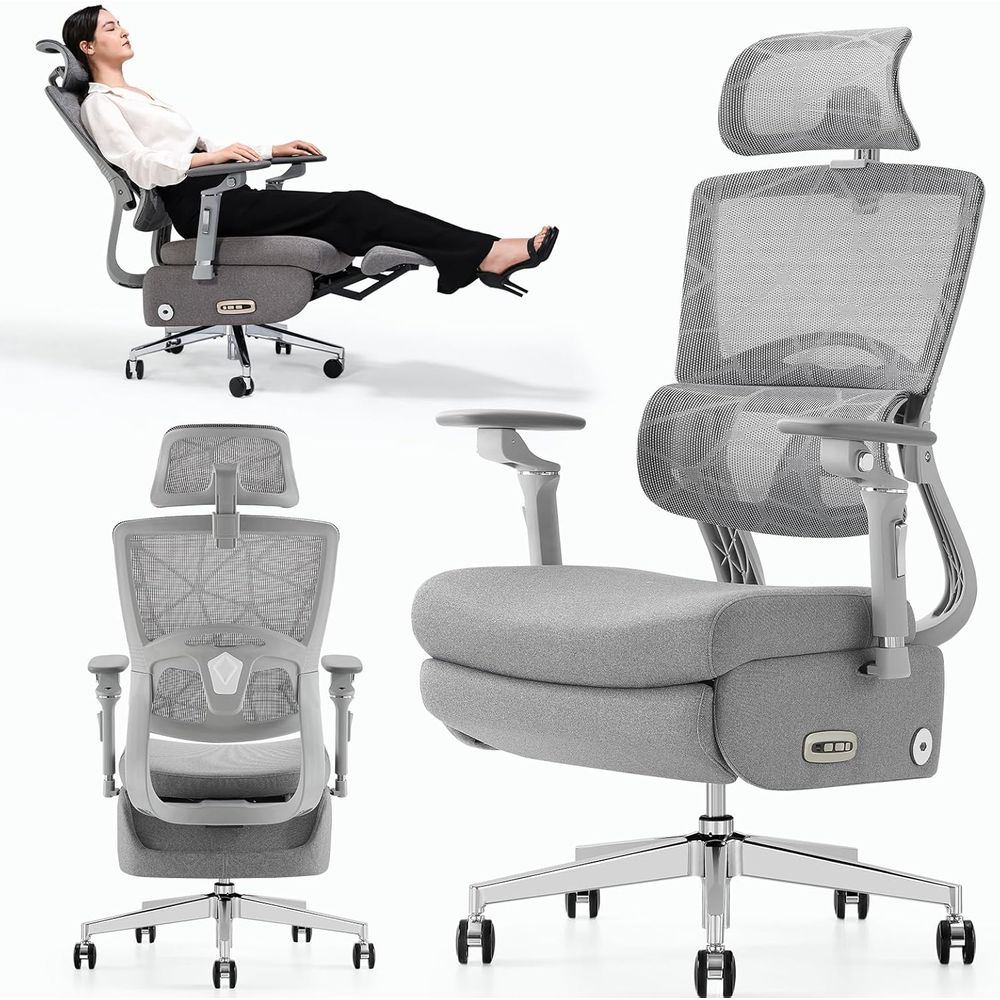 Dual-Motor Ergonomic Office Ch - Home Office Ergonomics recensie en prijs