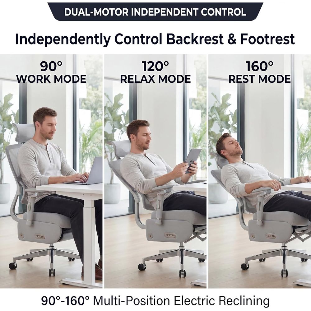 Dual-Motor Ergonomic Office Ch - Home Office Ergonomics recensie en prijs