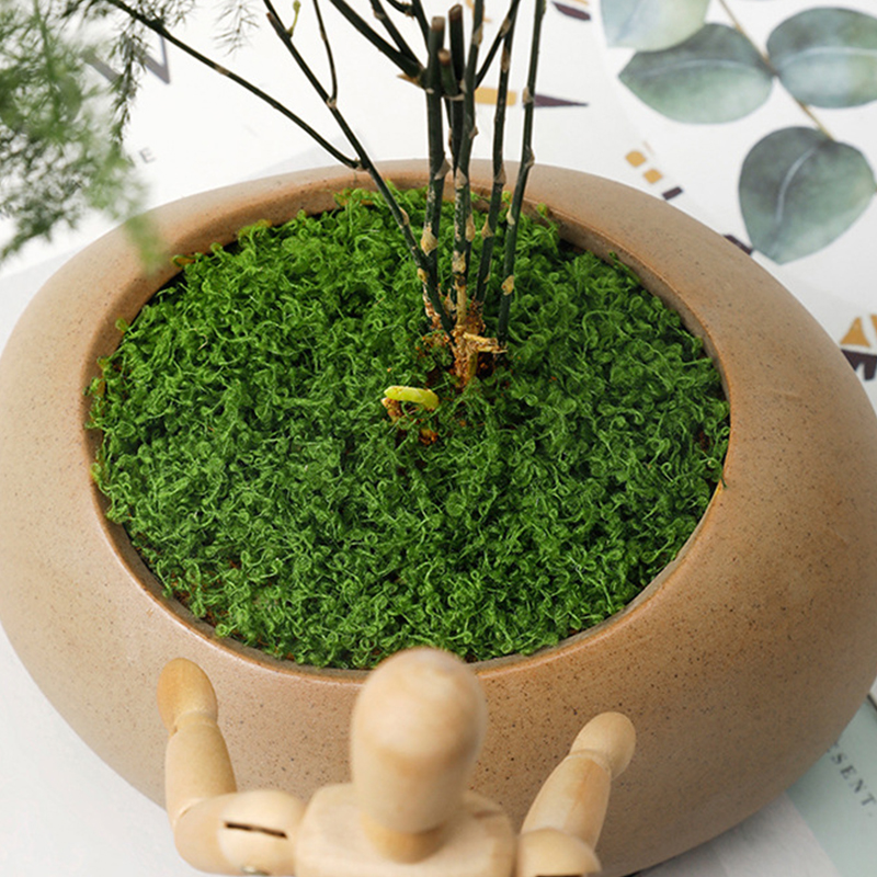 about 20g Artificial Green Pla - Home Office With Plants recensie en prijs
