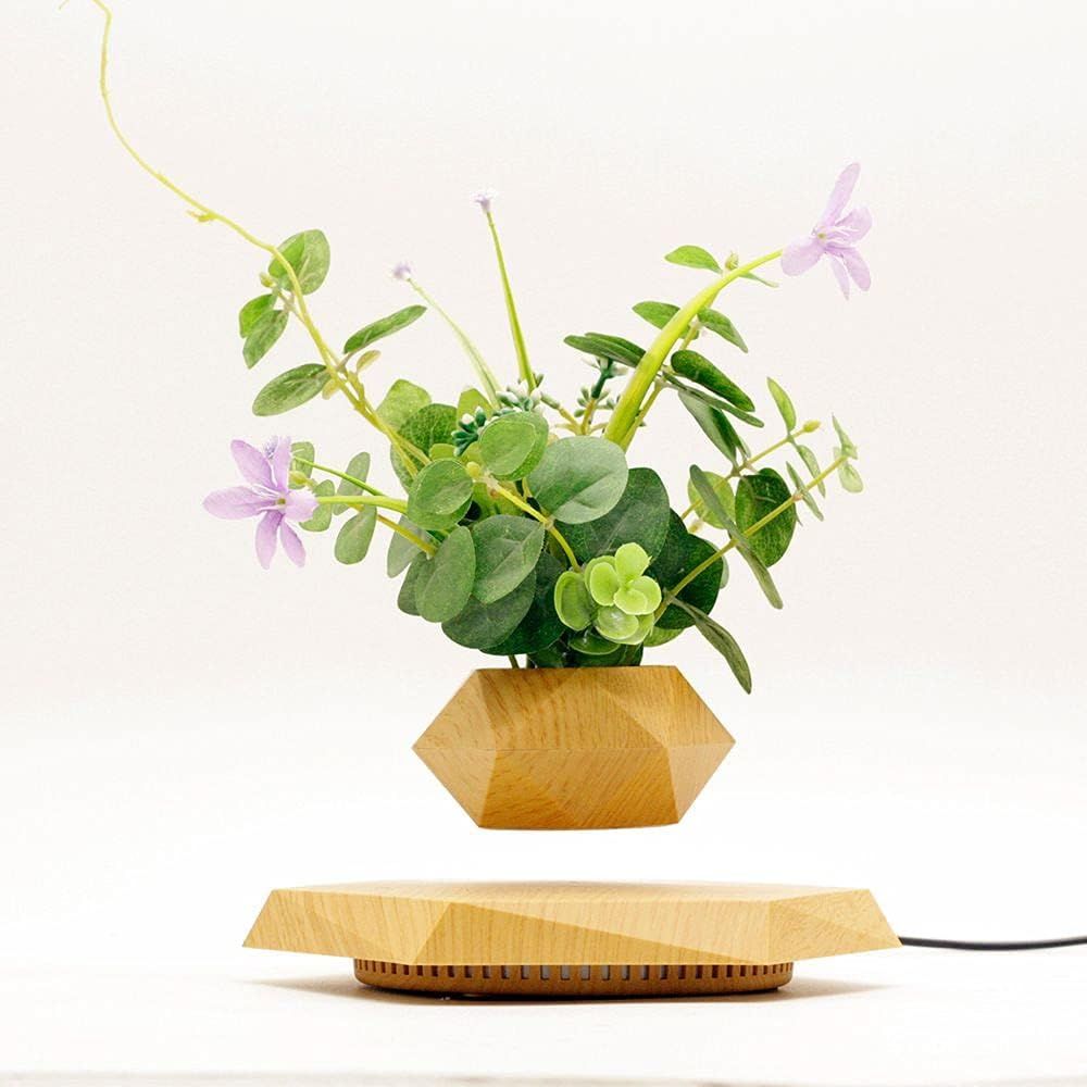 Plant Pot Hexagon Floating Air - Home Office With Plants recensie en prijs