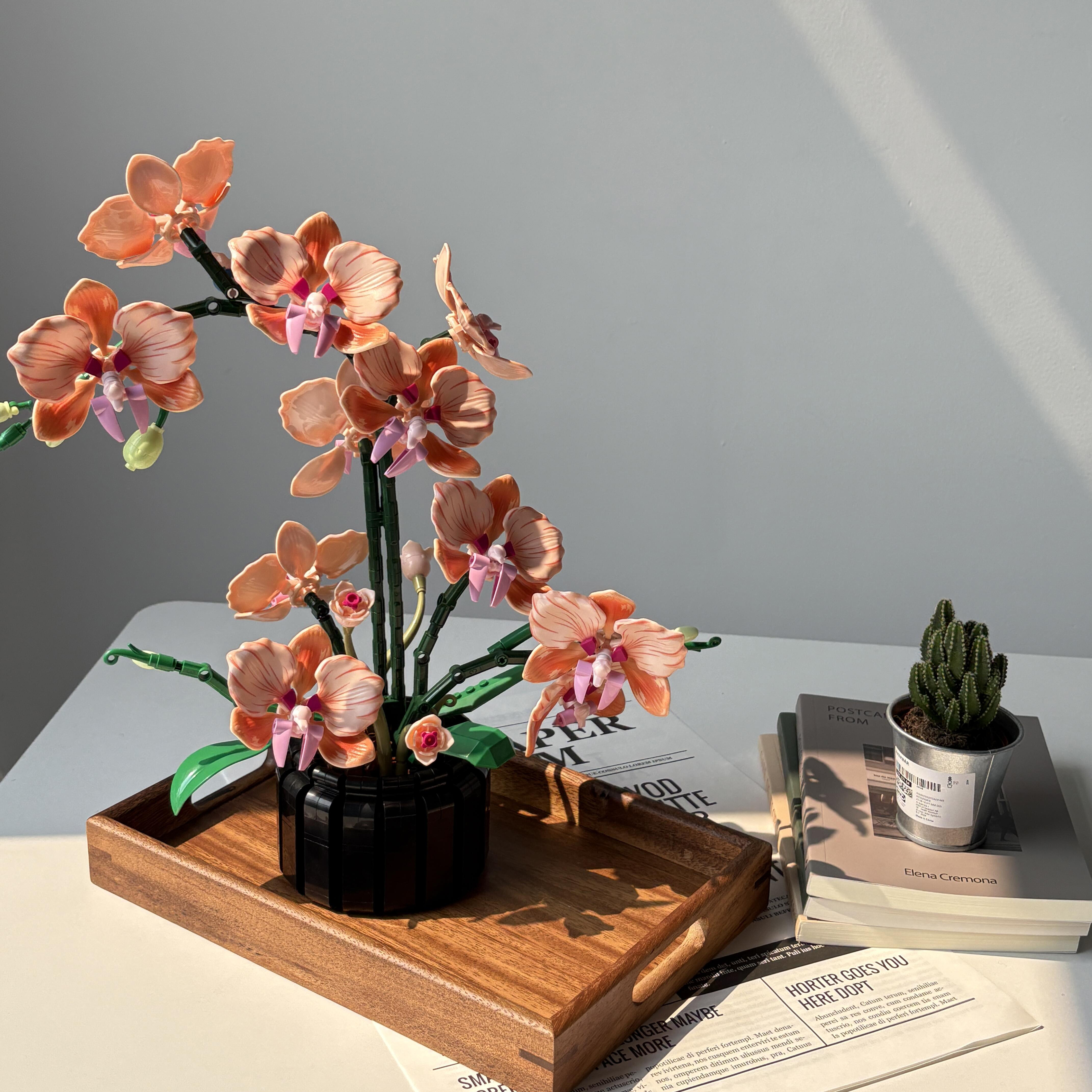 Orange Phalaenopsis Orchid Bui - Home Office Word recensie en prijs
