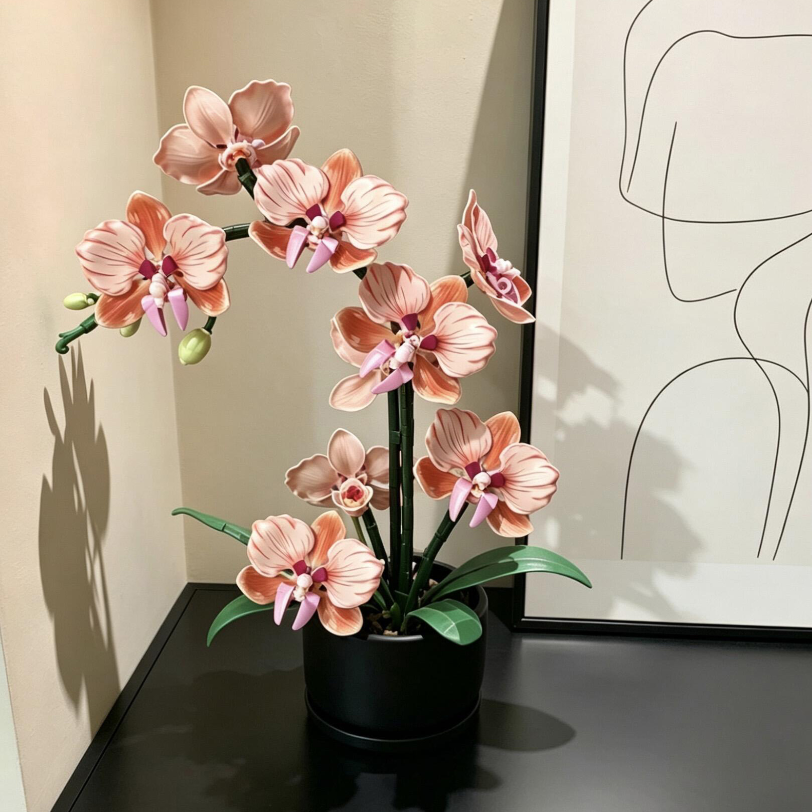 Orange Phalaenopsis Orchid Bui - Home Office Word recensie en prijs
