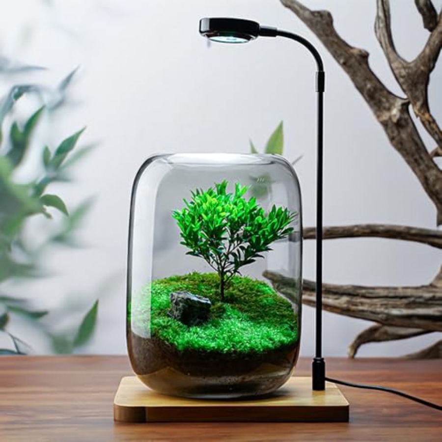 Glass Plant Terrarium Kit for  - Home Office With Plants recensie en prijs