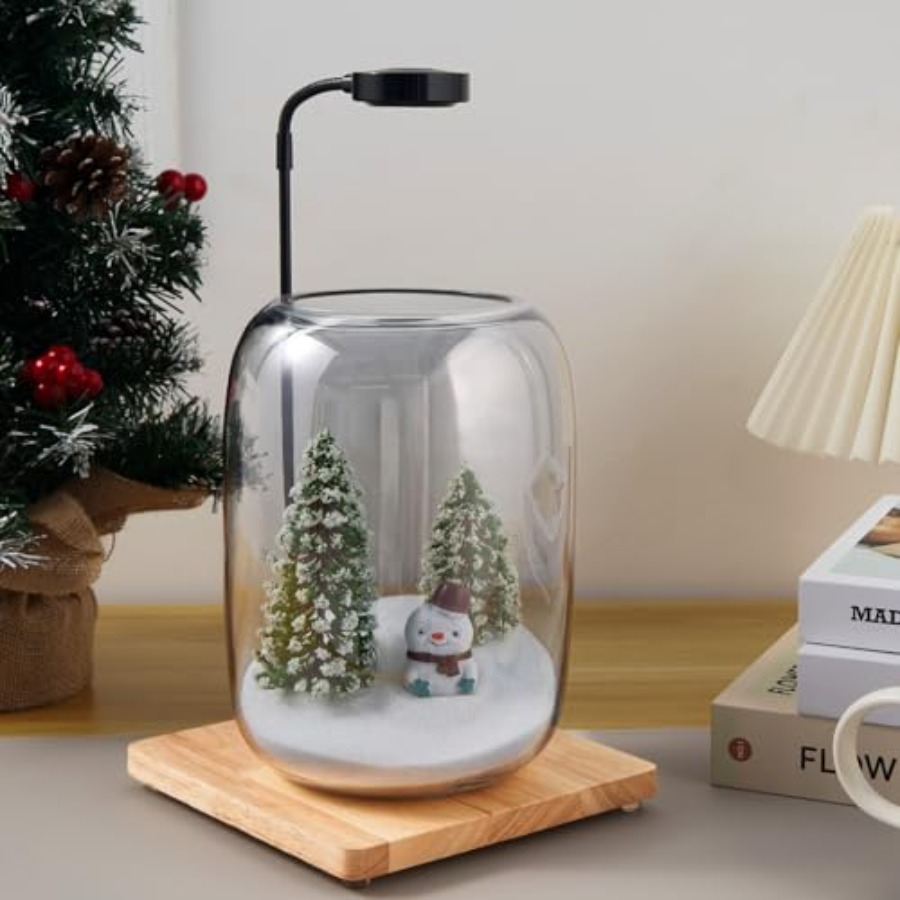 Glass Plant Terrarium Kit for  - Home Office With Plants recensie en prijs