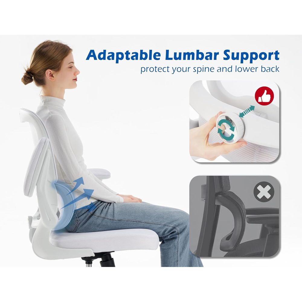 Ergonomic Desk Chair with Adju - Home Office Or recensie en prijs