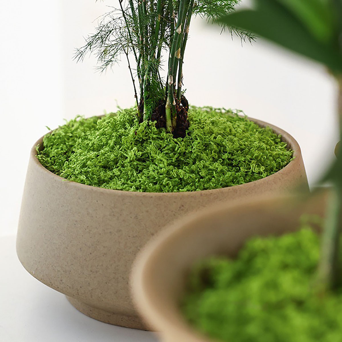 about 20g Artificial Green Pla - Home Office With Plants recensie en prijs