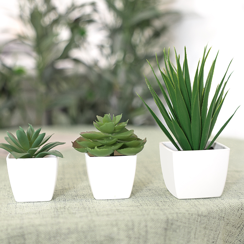 3PCS Artificial Evergreen Plan - Home Office Word recensie en prijs