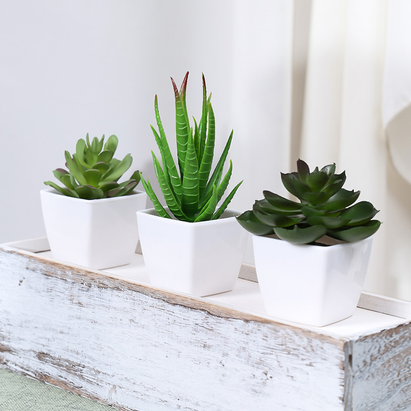 3PCS Artificial Evergreen Plan - Home Office Word recensie en prijs