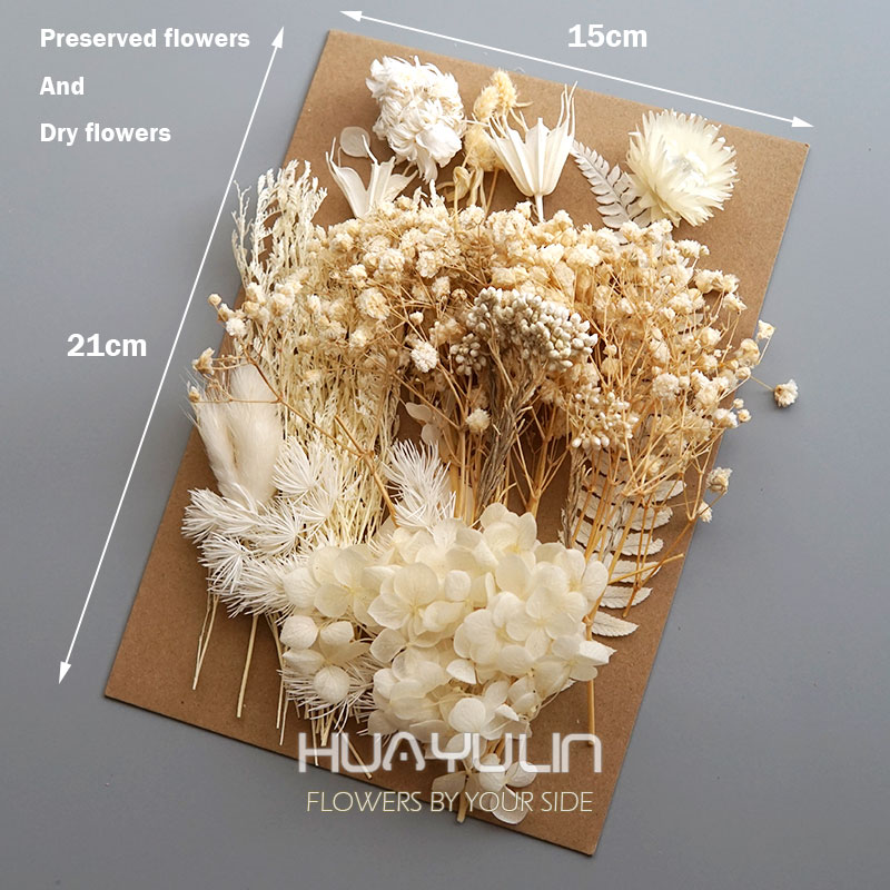 1 Pack Artificial Plants Dried - Home Office With Plants recensie en prijs